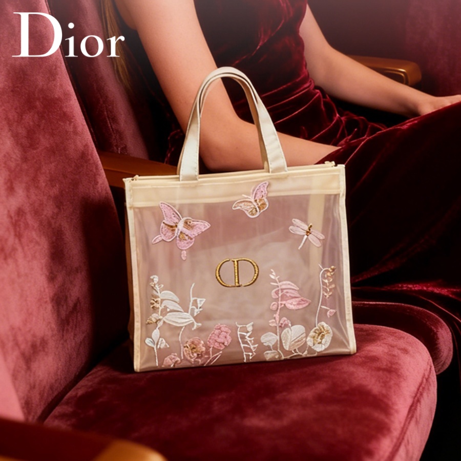 Bolso de Christian Dior, bolso - Women Accessories Organizer reseña y precio